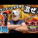 【辛さ限界突破】二大激辛カップ麺 蒙古タンメン中本×辛辛魚をを(合体)混ぜたら魔界飯爆誕ｗｗｗ #蒙古タンメン中本 #辛辛魚 #カップ麺アレンジ