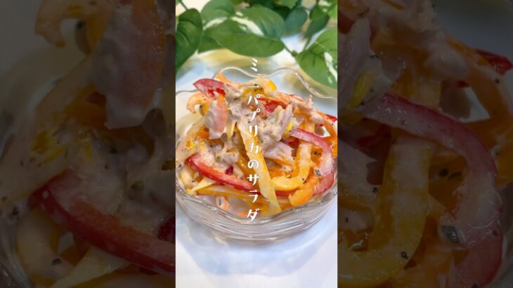 コストコでミニパプリカ買ったら、コレ作って！子どももハマるサラダ！