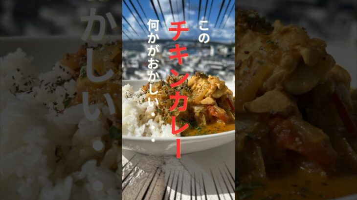 有名YouTuberのチキンカレーレシピを再現したら、色々壊れました。。。