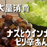 【ナス大量消費】ご飯もすすむ！ナスとウインナーのピリ辛あんかけ｜簡単おかずレシピ
