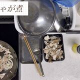 ⑥節約レシピ、簡単、スピード料理の夕食　イカじゃが煮