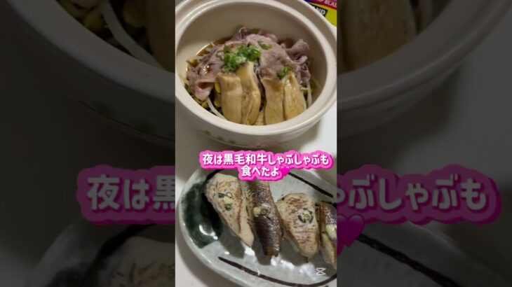私は100日後にAIの力で痩せるおでぶ🩷27日目
