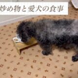 12節約レシピ、簡単、スピード料理の夕食