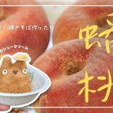 Vlog｜ 蟠桃（ばんとう）を食す｜トトロのシュークリーム｜BRUNOのホットプレート