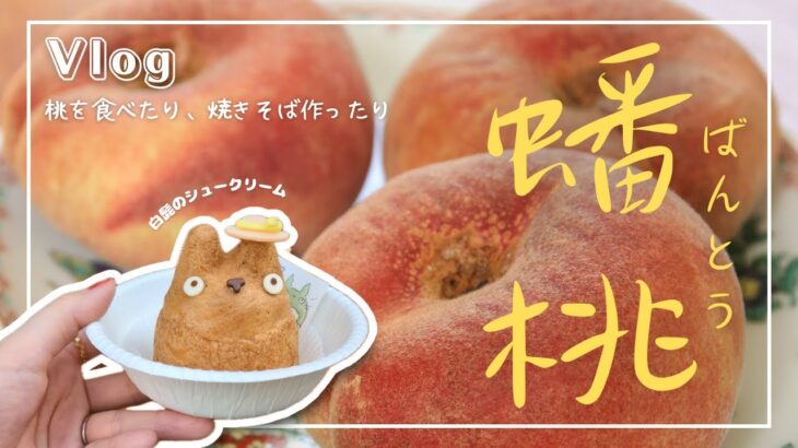 Vlog｜ 蟠桃（ばんとう）を食す｜トトロのシュークリーム｜BRUNOのホットプレート
