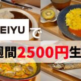 【西友】2500円分人気商品爆買い🛒食費月1万円で暮らす28歳一人暮らしOL