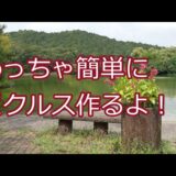 「四毒抜き、猫との暮らし、節約生活、一人暮らし」パプリカと人参でピクルスを作りました。