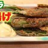 【罪悪感ゼロ‼︎】サクサクとろとろ！食って痩せる唐揚げ！オクラ600本用意してください。