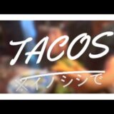 絶品タコスの作り方【イノシシで】#グルメ #tacos #タコス #トルティーヤ #ジビエ #料理