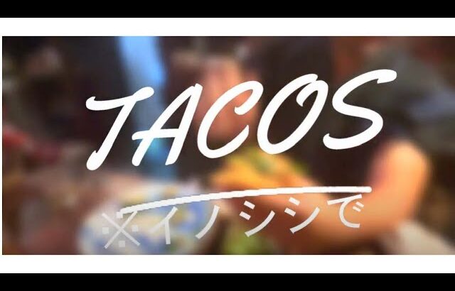 絶品タコスの作り方【イノシシで】#グルメ #tacos #タコス #トルティーヤ #ジビエ #料理