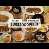 【料理Vlog】【1週間2000円生活】〜1人暮らしOLの30分で作る1週間の自炊記録〜