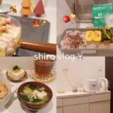 【 食費月1万円 】平日5日間の節約ごはん全部見せます🍚🥕買い物🛒〜お弁当作り•家計簿📔まで丸わかり👩🦰✨