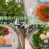 バジルペーストを作る/簡単パスタ/バジルペーストを使って晩御飯/お気に入りのジノリのお皿
