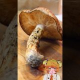 松茸ご飯　#料理 #簡単レシピ #cooking #food   #vtuber  #レシピ #グルメ #ハロウィン  #japanesefood #ハロウィン2025