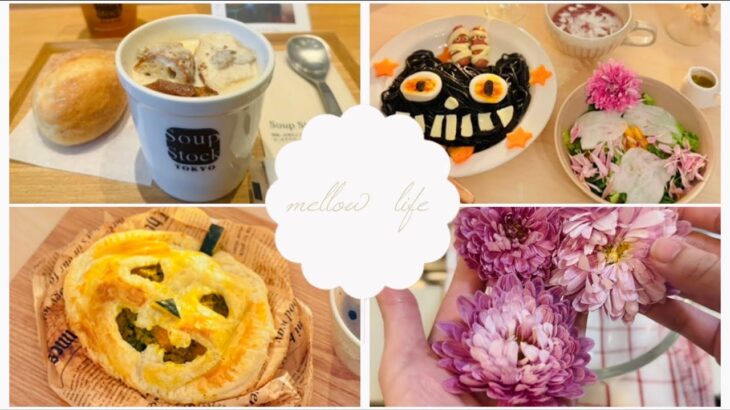 vlog:ハロウィン料理作り🎃かぼちゃパイ.旬野菜の彩りサラダを作った日#32