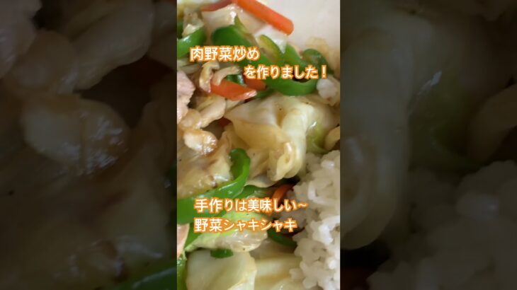 【グルメ】肉野菜炒め（手作り）#野菜炒め