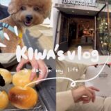 【アラフォー無職一人暮らし】自由が丘で雑貨屋巡りをして自炊してパンを焼く日 | 犬と暮らす引きこもりがちな映えない日常 | 東京