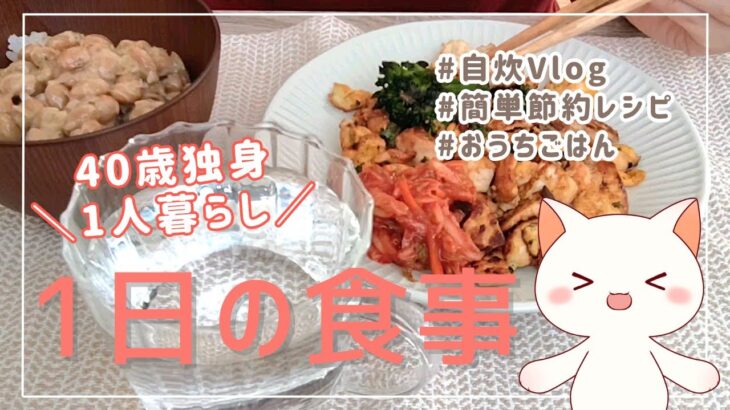 節約自炊Vlog！40歳独身女のリアルな1日の食事【一人暮らし作家の日常VLOG】