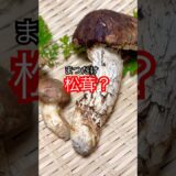 松茸【まつたけ】レシピ