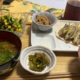 広島 Vlog フルタイム主婦 簡単料理 時短料理 小鰯の天ぷら アバンセ 広島駅 犬のいる暮らし