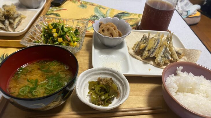 広島　Vlog フルタイム主婦　簡単料理　時短料理　小鰯の天ぷら　アバンセ　広島駅　犬のいる暮らし