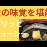 [レンジメートプロ/レンジメート]秋刀魚（さんま）塩焼き！魚焼きグリルいらずでパリッとジューシーに焼けるか！検証🔥　[時短/簡単/レビュー]　ほれ晩酌#20
