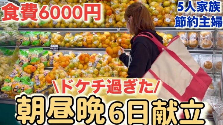 【節約ルーティン】ドケチ主婦が作る！5人家族の1週間献立/食費を節約するために休日は麺料理を徹底！栄養バランスは重視した節約生活