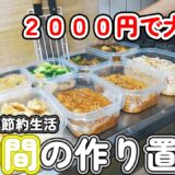 【１人暮らし節約生活】平日５日分の作り置きおかず８品！！