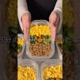 👛1食187円🧊冷凍ストック【彩り三色弁当】