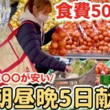 【節約ルーティン】1週間5000円の節約レシピ/今の時期は安い食材をフル活用！5人家族の食費月3万円以下でやりくりする節約主婦のドケチな節約生活/