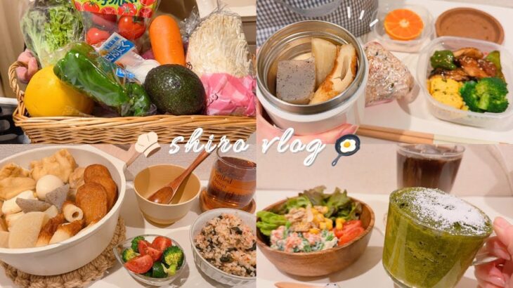 【節約】一人暮らし社会人５日間の自炊記録 / 長持ち食品保存法🥕