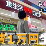 【生活費公開】ロピアのみ！節約一家が「食費１万円で何日間暮らせるのか」を検証した結果（Vol.3 )｜節約生活/食費見直し/貯金/節約レシピ/食費月４万円
